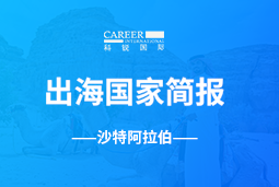 bifa必发GO GLOBAL | 沙特阿拉伯国家简报